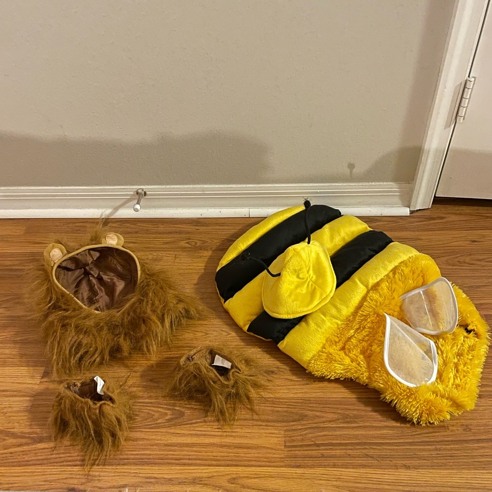 Bee and Lion Pet Costumes